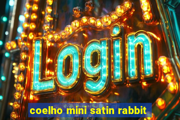 coelho mini satin rabbit